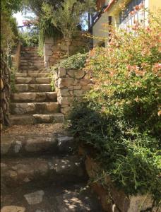 Villa tre fari allisola dElba