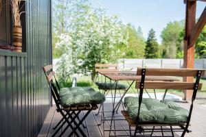 Cozy tiny container house by the river Danube