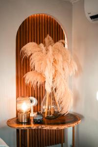 Casa Elixir Boutique