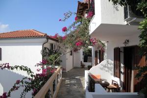 Yalis Hotel Alonissos Greece