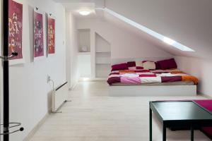 City Center Studio - La Coquette