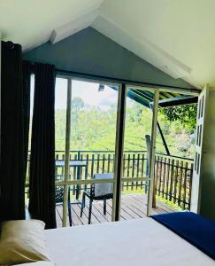 Hill wood nature touch resort