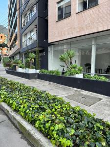 Modern Studio Usaquén, Search Unicentro