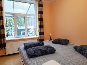 Dzintari apartments with a sauna and swimming pool