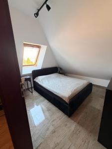 Apartament św Michała