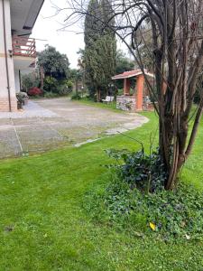 Nel giardino segreto