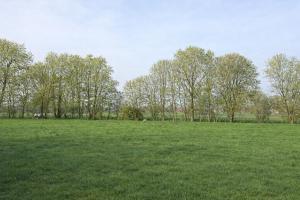Gîte du Pays Vert - Nature & Jardin proche de Pairi Daiza