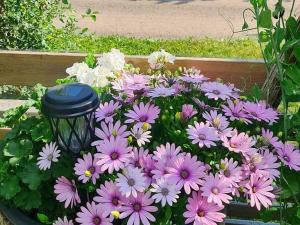 4 star holiday home in UPPSALA