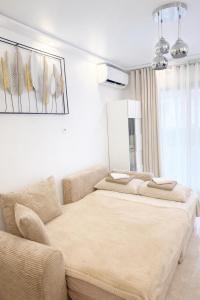 Cannes Center Appartement F9