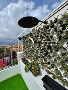 Mini Estudio Málaga
