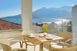 Synthea Suites