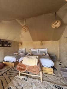 Harmony Desert Luxury Camp