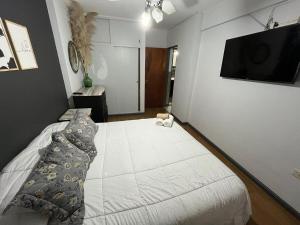 Peatonal Santafesina