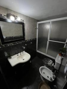 Peatonal Santafesina