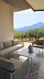 The Olive Nest House