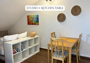 Soundproof Studio Geneva Airport 10 min and UN 20 min