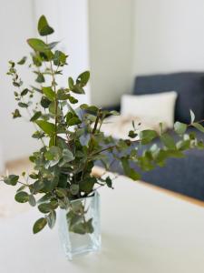 Parking free Confort flat in Malaga