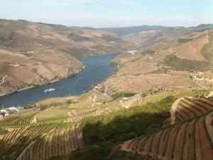 Panorama Douro House
