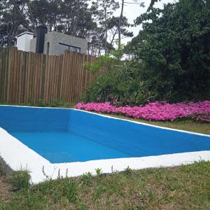 Antigona