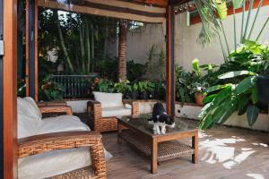 Casas Blancas, Planta Baja