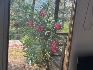 Chalet confortable avec terrasse - 7 pers. - API-1-52-2011