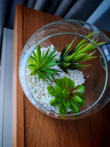 S&H GREENPARK ESTATE near OR Tambo