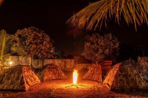 Dandeli Jungle Inn Resort