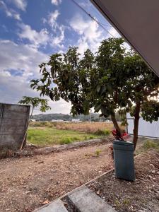 Spacious and Cozy Vacation House in Jacó