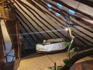 Casa caracol Macario