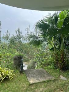 Khu Nghỉ Dưỡng Ivory Villa Resort