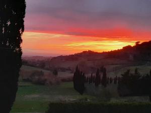 Casale Marittimo Apartment with Pool & Sea View -Piccolo Grande Prato