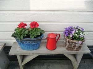 CHALET36 in GROU