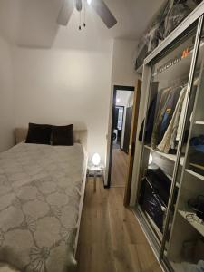Luxury, newly renovated, 2-room apartment, Banana