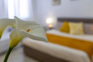 TRANQUILITY apartment img22