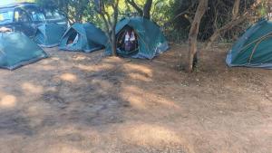 Samburu Reserve Campgrounds