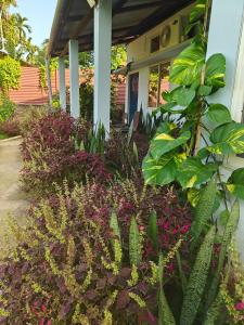 Org Retreat & Farmstay
