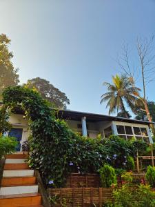 Org Retreat & Farmstay