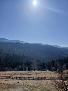 Agroturystyka pod Romanką