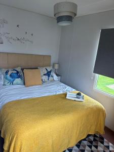 Pet Friendly Breaks at Golden Palm, Skegness