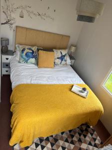 Pet Friendly Breaks at Golden Palm, Skegness