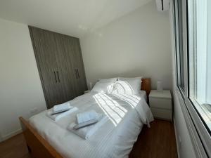 Nicosia Business Apartment
