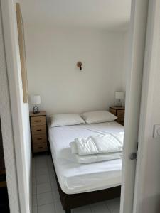 Appartement 2 chambres acces mer et piscine THETYS MARSEILLAN PLAGE