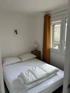 Appartement 2 chambres acces mer et piscine THETYS MARSEILLAN PLAGE