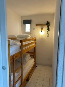 Appartement 2 chambres acces mer et piscine THETYS MARSEILLAN PLAGE