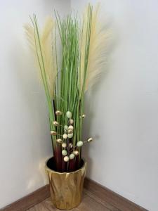 Menida Apartman Sárvár