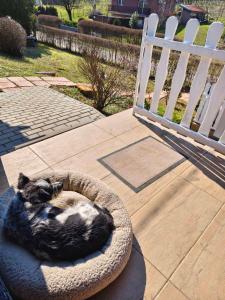 ApróLak - Erdőhöz közeli alpesi faház, pároknak és családoknak