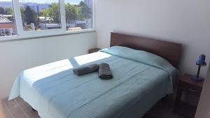 Departamento centro Puerto Montt