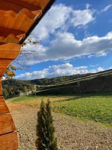 Niedźwiedzi Zakątek