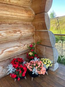 Niedźwiedzi Zakątek