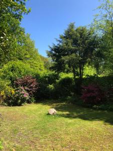 Forst retreat with Sauna